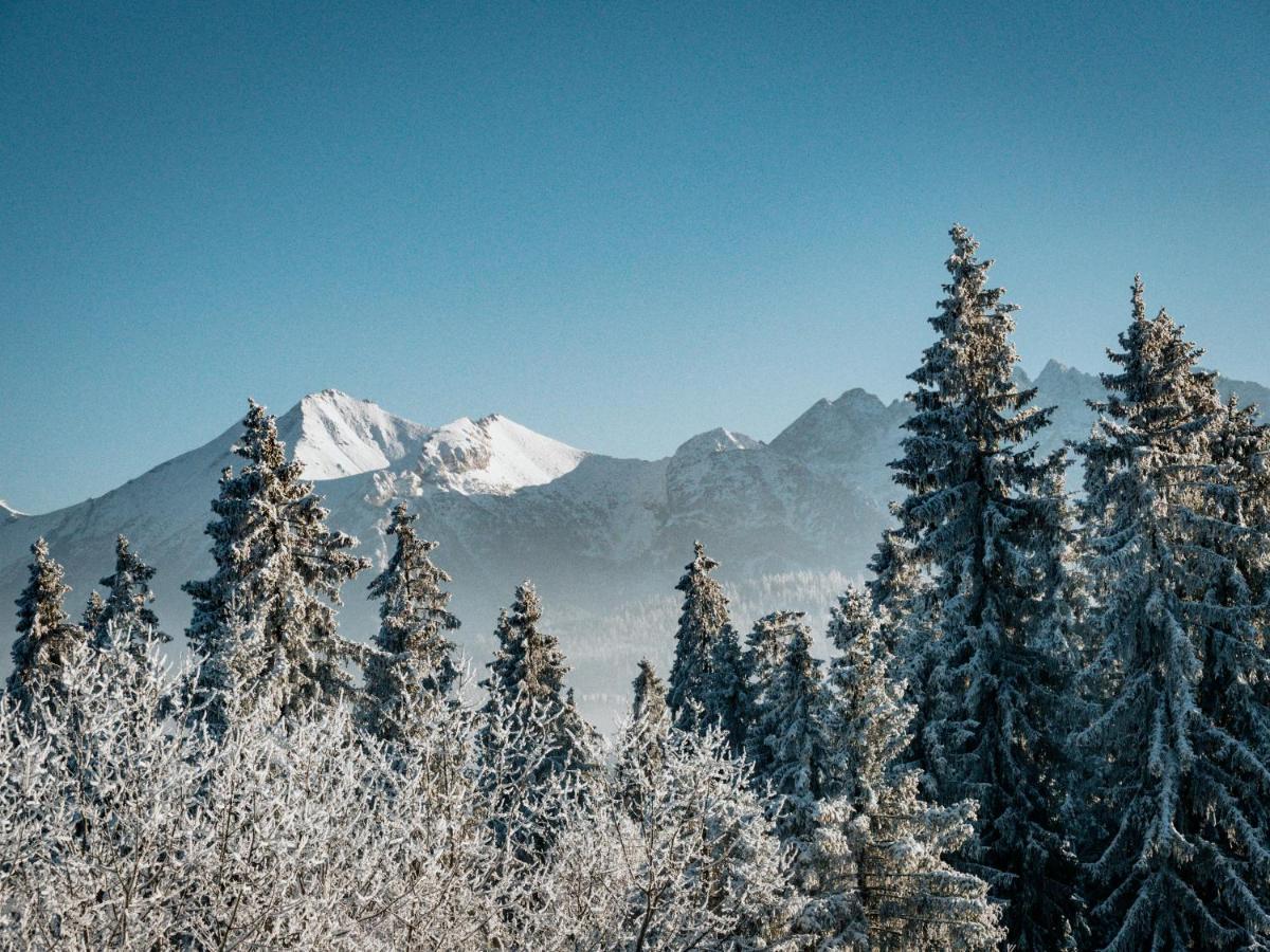 Willa Pachowka - Tam, Gdzie Natura Spotyka Sie Z Nowoczesnoscia บุโควินา ทัตซานสกา ภายนอก รูปภาพ